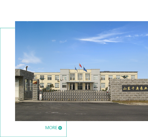 山東千奧泵業有限公司